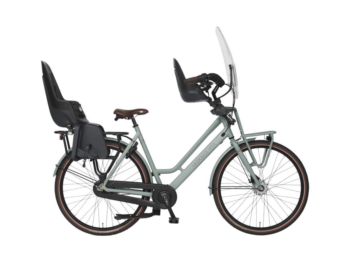 BSP transport city bike, Shimano Nexus 7, green